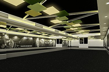 Gym interior Prag Opus project
